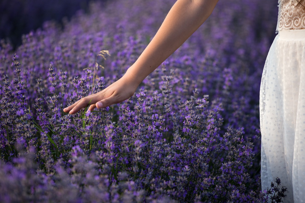 A bride’s hand grazing a row of purple flowers