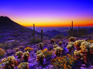 Arizona Honeymoon Destinations