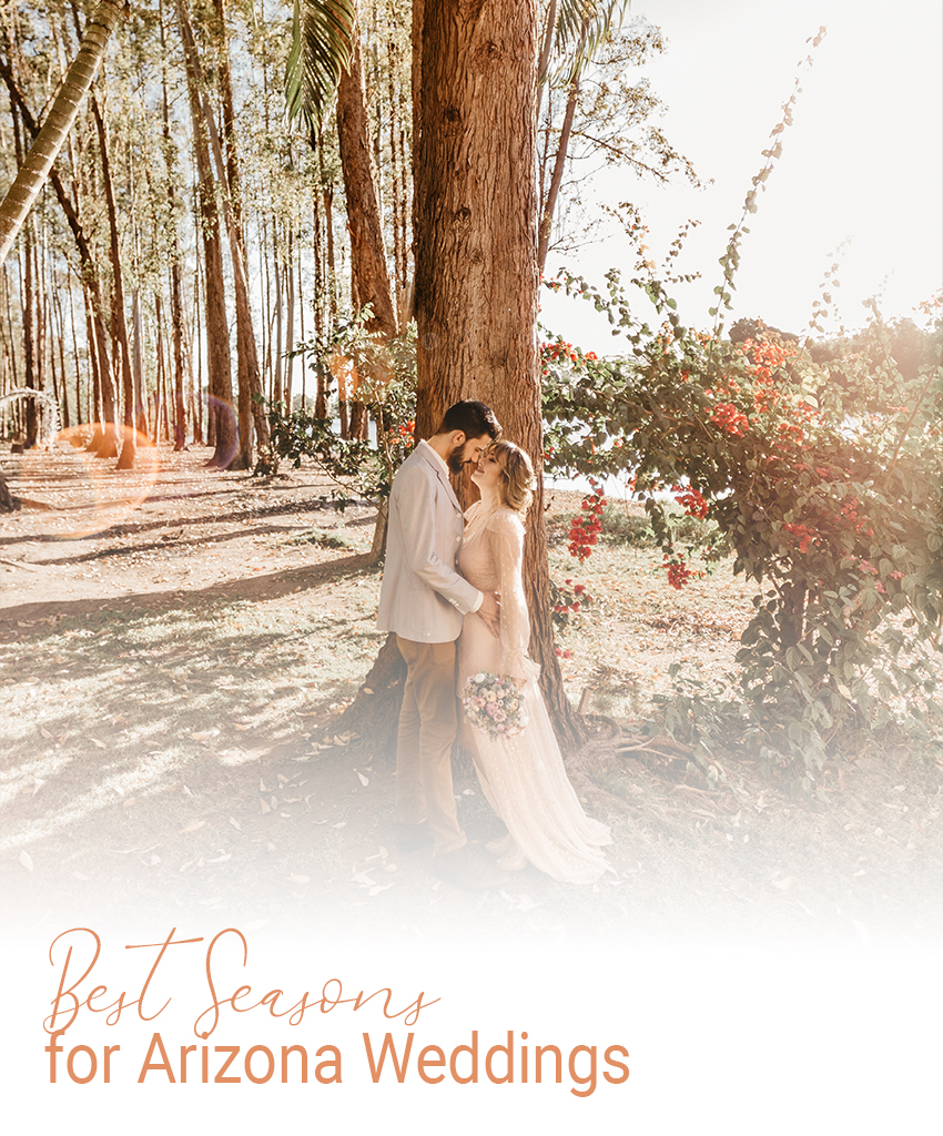 A bride and groom pose beside a tall tree in Arizona and gaze lovingly into each other’s eyes; the dreamy haze of the photo fades to white at the bottom, with superimposed peach-colored words that read, “Best Seasons for Arizona Weddings”